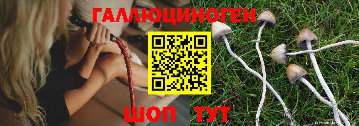 Псилоцибиновые грибы MAGIC MUSHROOMS  Вход с VPN  Аргун 